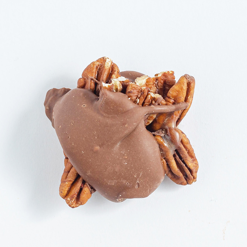 Pecan Turtle